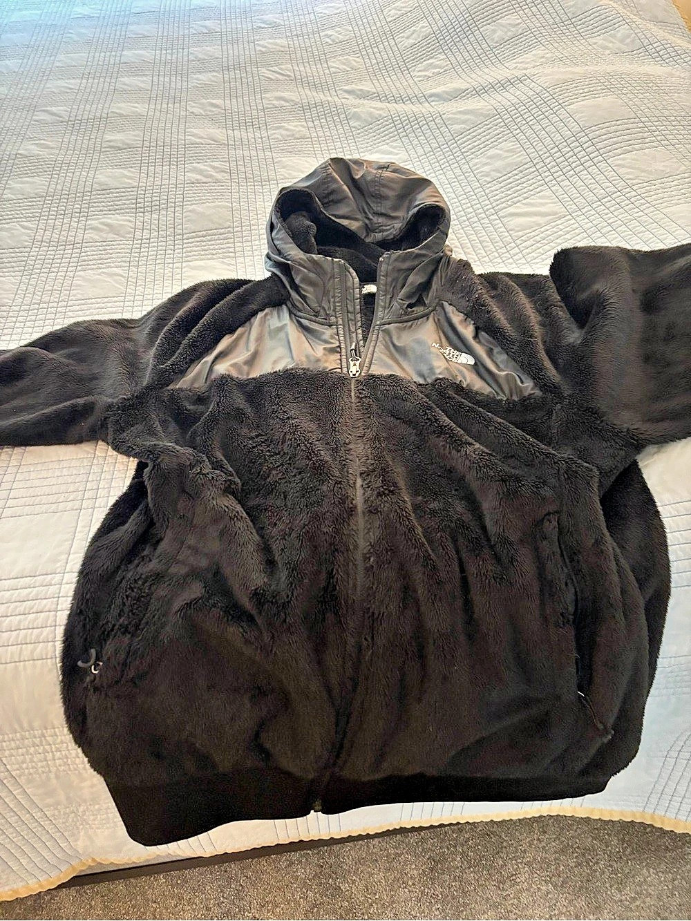 The North Face Denali Hoodie Black Hooded Fleece Jacket